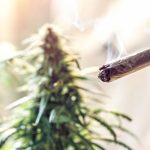 How Long Does Weed Stay in Your System After Quitting