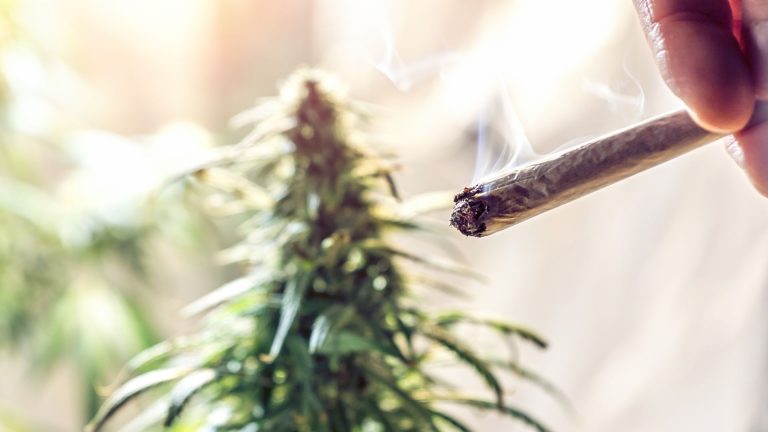 How Long Does Weed Stay in Your System After Quitting