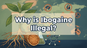 Why is Ibogaine Illegal