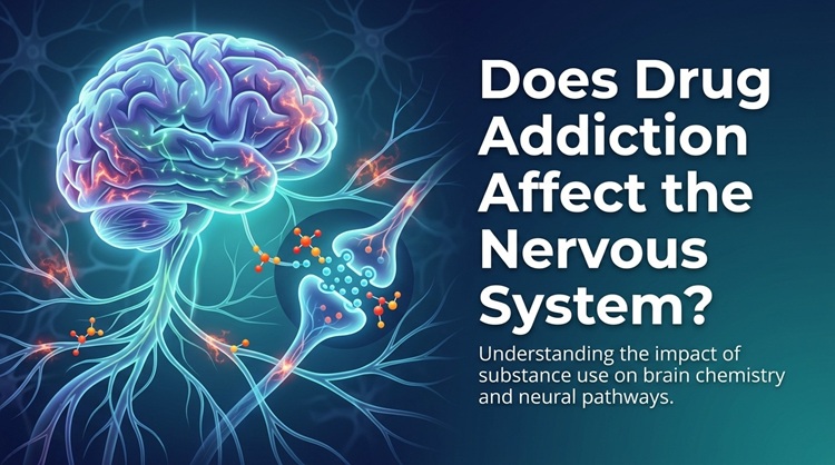 Does Drug Addiction Affect the Nervous System