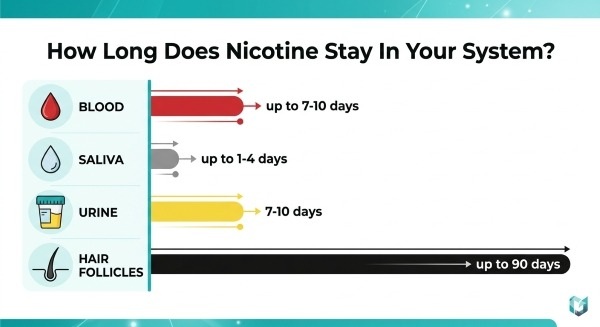 How Long Nicotine Stays in Your System