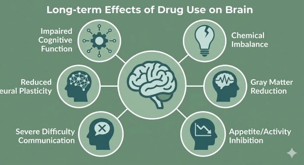 Long-term effect of drug use on Brain
