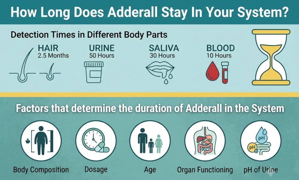 Adderall Stay in Your System