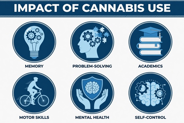 Cannabis Effects Explained By Use Pattern