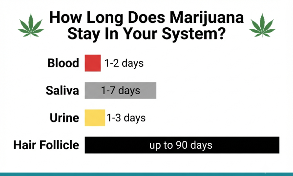 How Long Does Thc Stay in System