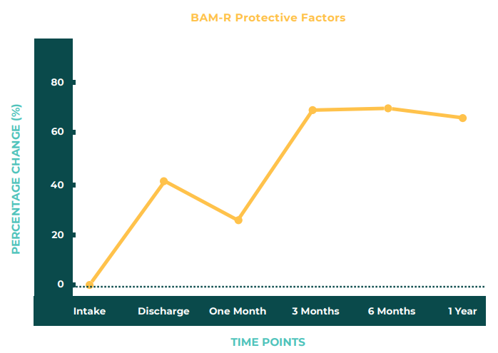 Substance Abuse Protective Factors