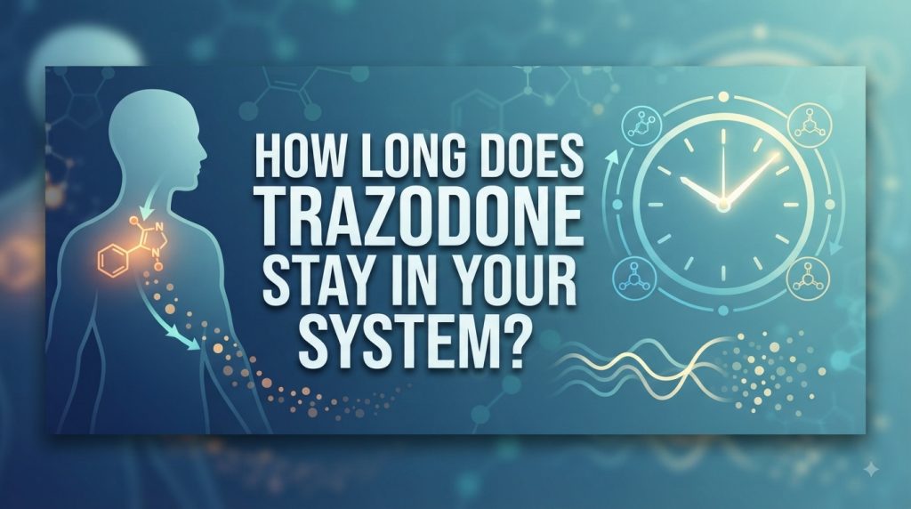 How Long Does Trazodone Stay in Your System