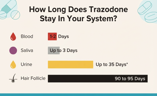 How Long Does Trazodone Stay in Your System